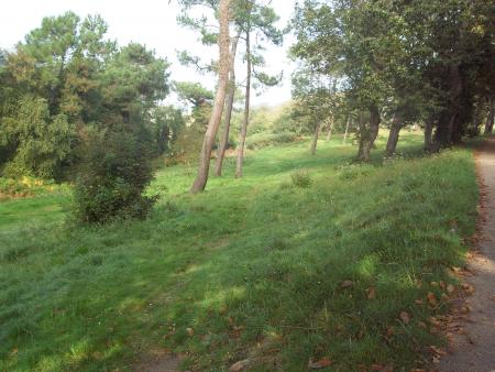 vous vous rappellez de ce chemin..?